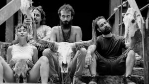 Guerrilha dos Coelhos Mutantes