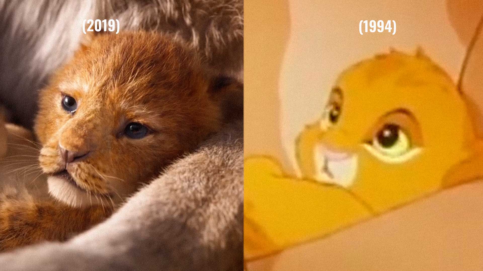 O Rei Leão The Lion King