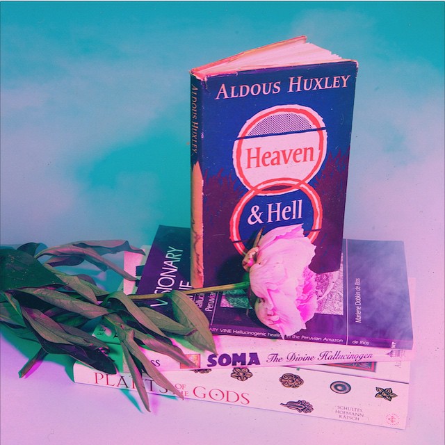 elementos com luzes predominantemente rosa e azul.