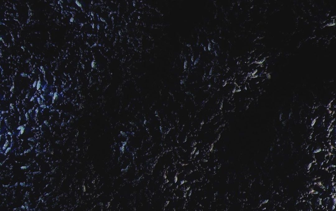 The Foundations of Decay, My Chemical Romance (2022)